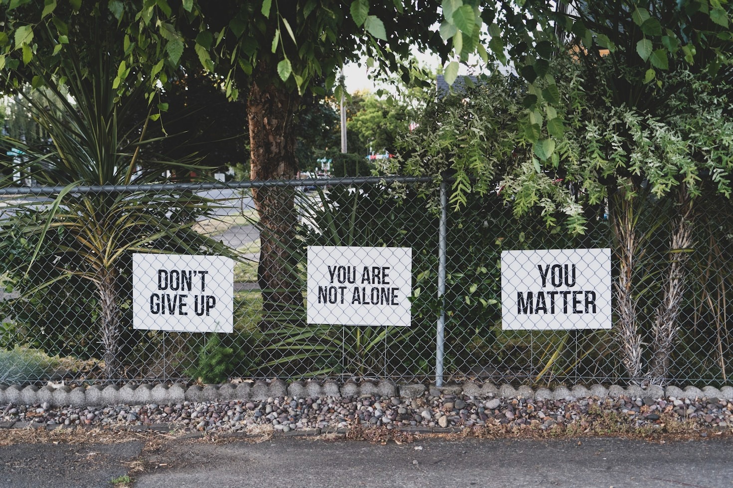 Cómo mejorar tu salud emocional día a día