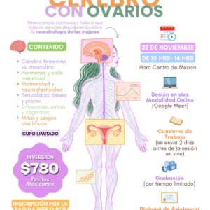 🧠 TALLER ONLINE: CEREBRO CON OVARIOS